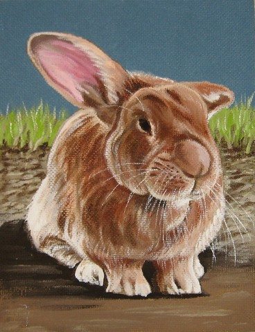 rabbit pet portrait